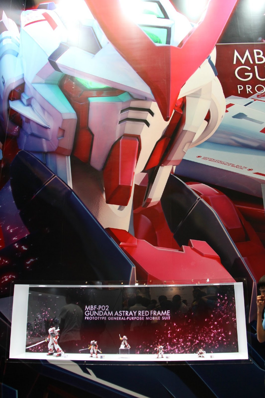 1/144 RG MBF-P02 Gundam Astray Red Frame