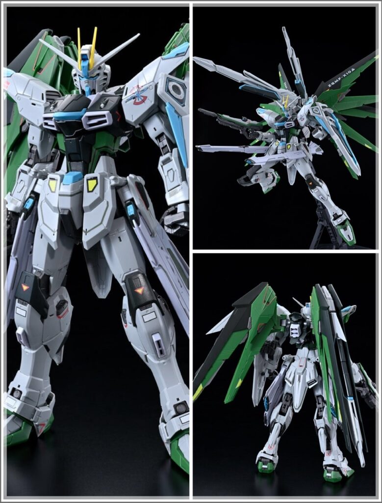 Limited MG Freedom Gundam Ver.2.0 Real Type Color Ver.